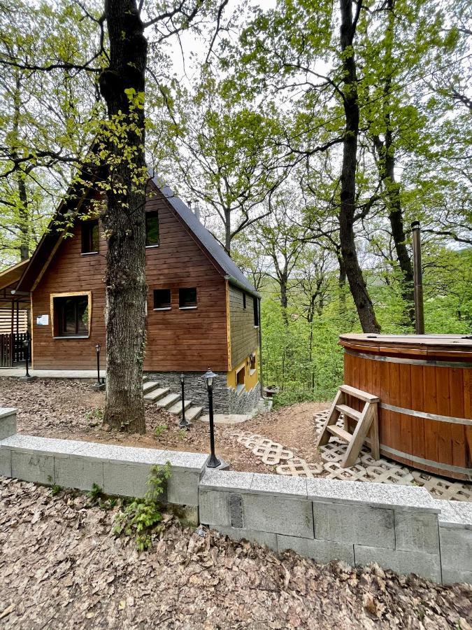Apartament Toelgyes Menedek Noszvaj Zewnętrze zdjęcie